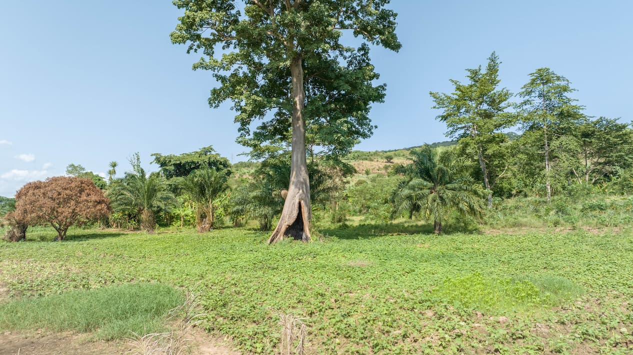 Tranquillus Akosombo View